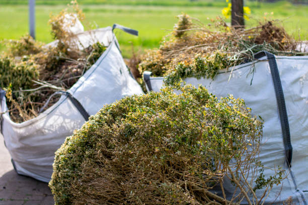 Best Household Junk Removal  in Cao, ND